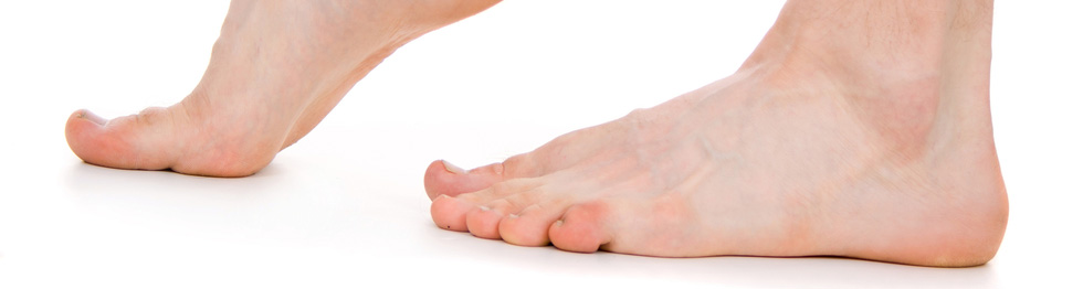 Podiatry & Chiropody prices